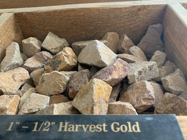 Harvest Gold at our Rock Quarry in Bend Oregon